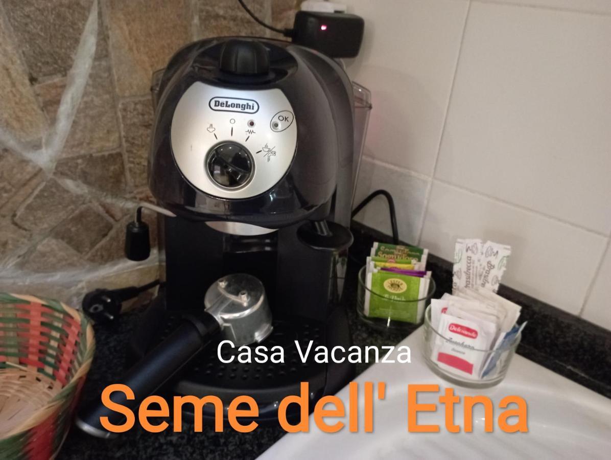 Seme Dell' Etna Holiday home *