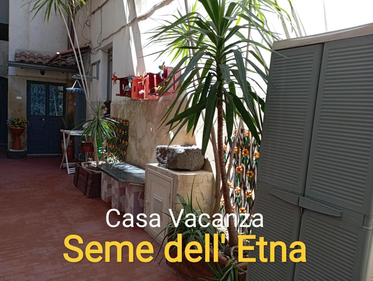 Seme Dell' Etna