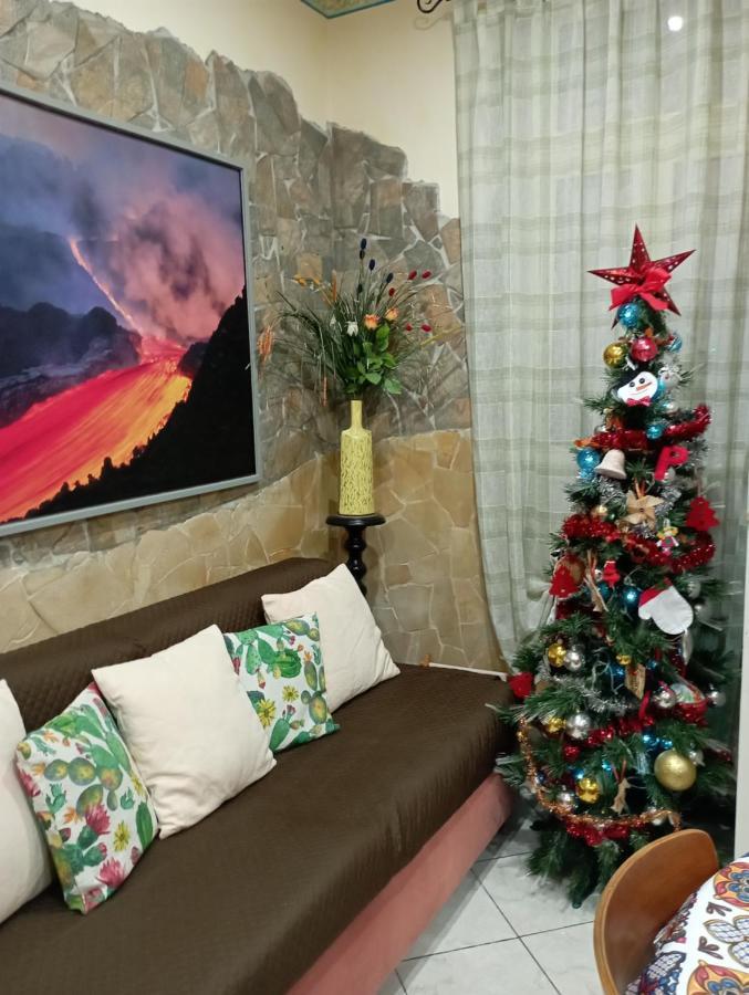 Seme Dell' Etna Holiday home *
