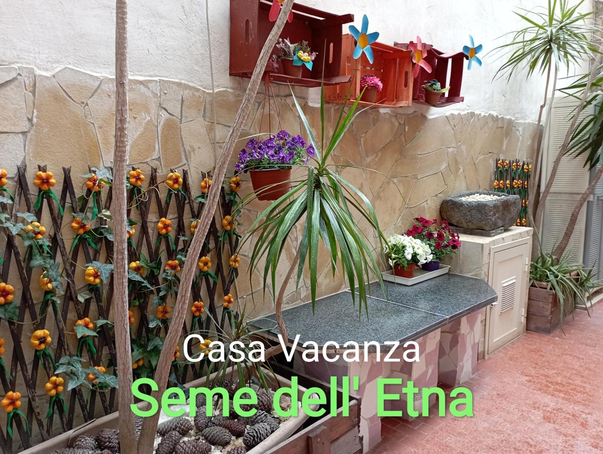 Seme Dell' Etna Catania